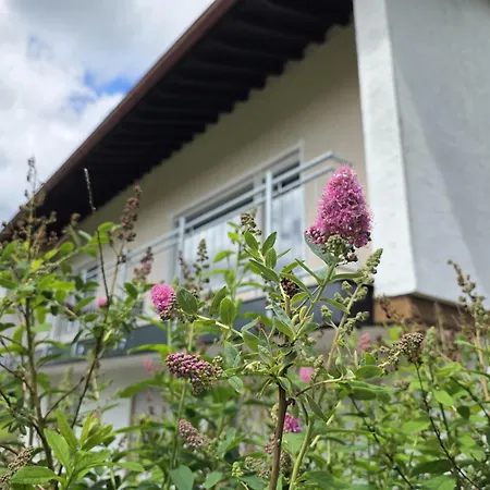 Charmante, Familienfreundliche Im Herzen Der Vulkaneifel 아파트 *